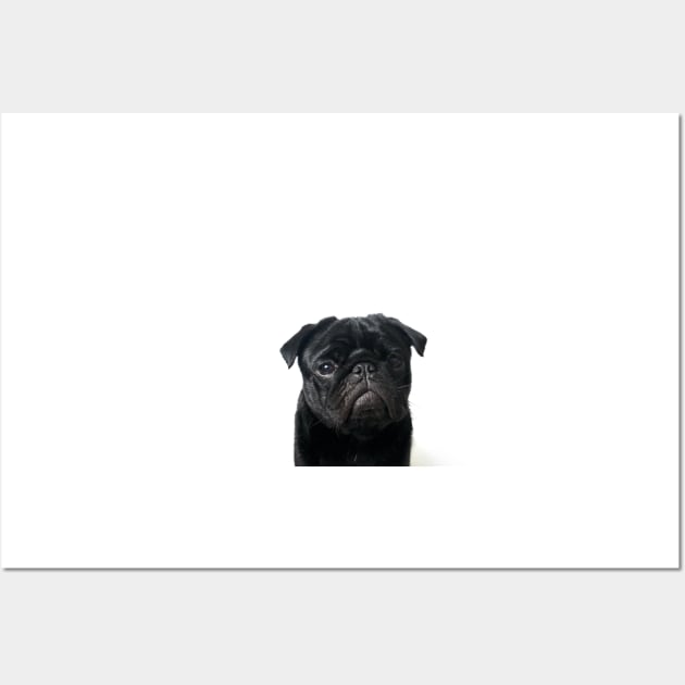 Hugo - The Black Pug Wall Art by jlwilliamsss